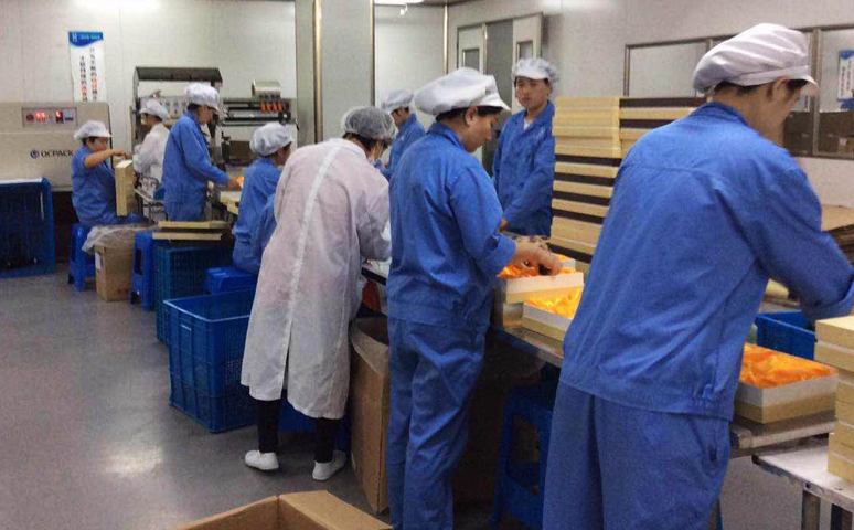 大醫精成、厚德懷仁、用百年基業，護航人類健康百歲工程---10年的品牌10年的沉淀